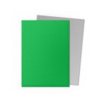 Dragon Shield Matte Dual Sleeves – Apple Green & Silver